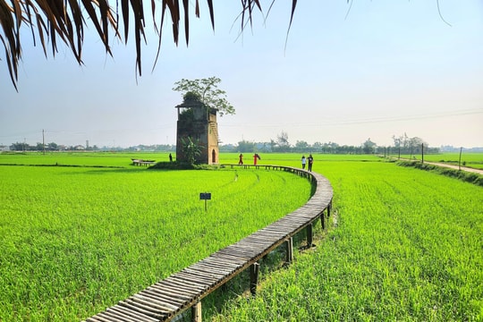 Da Nang’s rural tourism impresses visitors