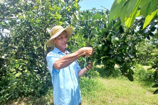 Tổng giá trị sản xuất năm 2025 của xã Thượng Đức đạt hơn 1.220 tỷ đồng