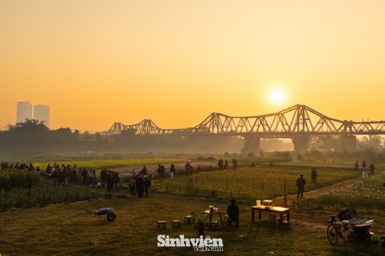 Hà Nội: Ngắm bình minh sớm tại bến hoa Phúc Xá bên chân cầu Long Biên