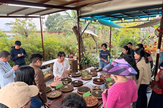 Thúc đẩy du lịch làng nghề Hội An