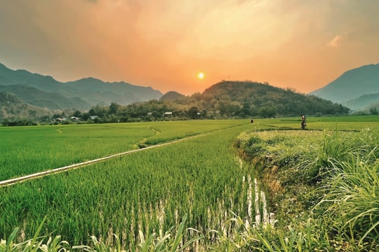 Theo dấu mây rong ruổi