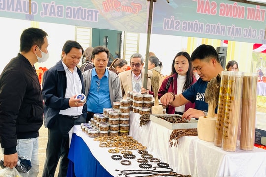 Kết nối cộng đồng, nâng tầm nông sản