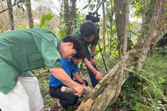 Đôi bạn thân xuất ngũ về mở xưởng trầm hương