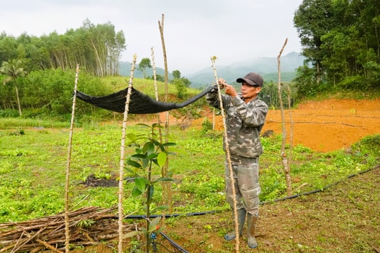 Xã Sơn Cẩm Hà thay “chất” cho đất gò đồi