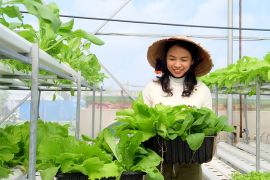 Chặng đường mới của nông nghiệp thông minh