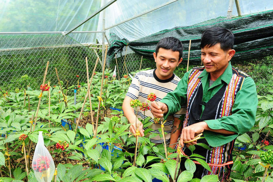 Liên kết hai vùng đông - tây