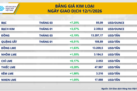 Giá bạc lập kỷ lục 85,09 USD/ounce, giá ngô thế giới chạm đáy 3 tháng