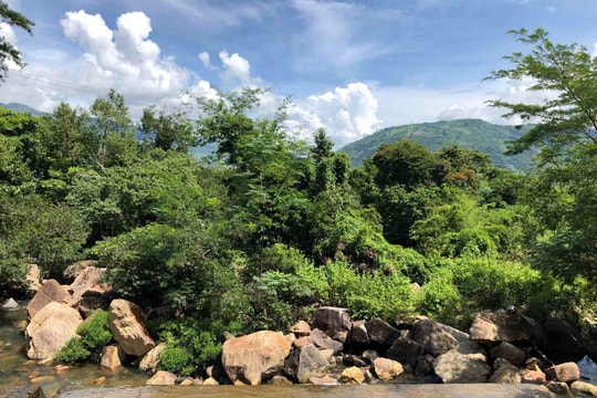 Khám phá Suối Lạnh Bác Ái: Tọa độ giải nhiệt hoang sơ giữa đại ngàn Ninh Thuận