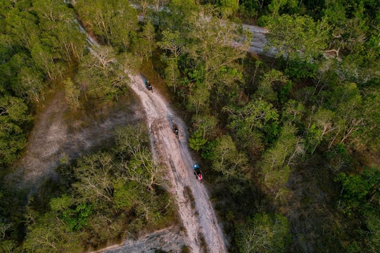 Vườn quốc gia Phú Quốc: Hành trình khám phá rừng nguyên sinh và những con suối hoang sơ