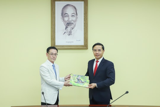 Samsung Home Corporation (Hàn Quốc) tìm hiểu cơ hội đầu tư tại Đà Nẵng