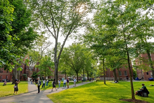 Sụt giảm sinh viên quốc tế tại Mỹ