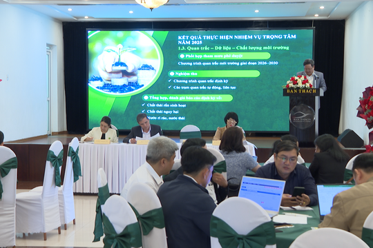 Tập trung thực hiện hiệu quả Đề án “Xây dựng Đà Nẵng - thành phố môi trường”