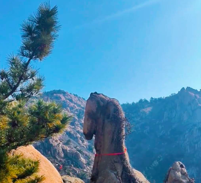 Thanh Đảo: Tảng đá hình ngựa trên núi Đại Chu hút khách check-in dịp Tết Bính Ngọ 2026