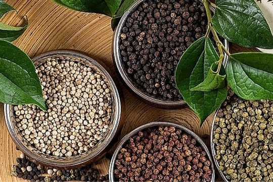 Giá tiêu hôm nay 18/1: Thị trường trong nước đi ngang, mức cao nhất đạt 148.500 đồng/kg