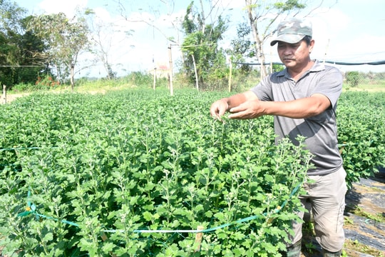 Tín dụng hỗ trợ tăng trưởng hai con số