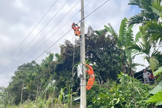 PC Đà Nẵng hoàn thành cấp điện cho khu vực Nóc Tu Nương và khu dân cư C72 trước Tết nguyên đán 2026