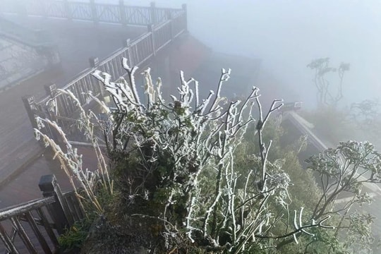 Các tỉnh, thành phố chủ động ứng phó với rét đậm, rét hại và gió mạnh trên biển