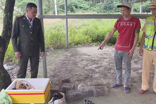 Đa dạng hình thức tuyên truyền bảo vệ động vật hoang dã