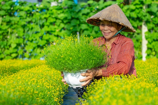 Người khuất nẻo mùa xuân