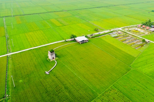 Trợ lực cho du lịch nông thôn