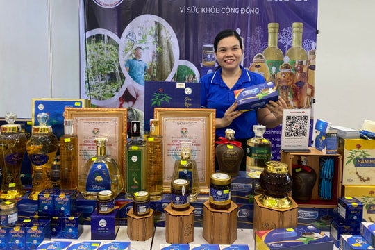 Đà Nẵng tham gia quảng bá sản phẩm tại Hội chợ Quốc gia Mùa Xuân 2026