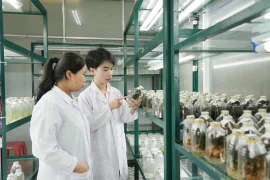 Đà Nẵng phân bổ hơn 132 tỷ đồng phát triển khoa học và công nghệ năm 2026