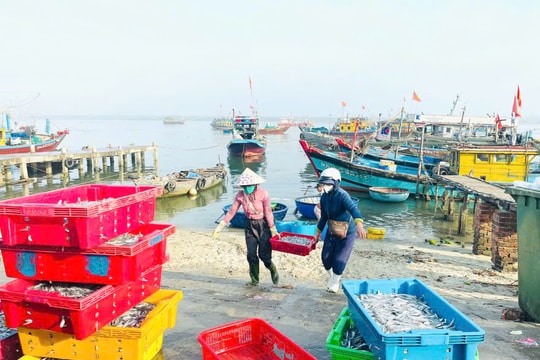 Gửi trọn niềm tin vào Đảng