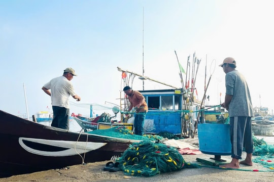 Đà Nẵng tăng cường bảo vệ và phát triển nguồn lợi thủy sản