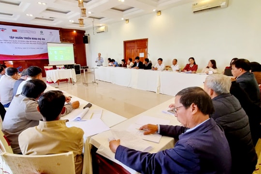 Hội Chữ thập đỏ Đà Nẵng triển khai hỗ trợ khẩn cấp 1.500 hộ bị ảnh hưởng thiên tai