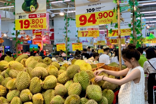 Giá sầu riêng hôm nay 25/1: Các dòng chủ lực đồng loạt điều chỉnh giảm