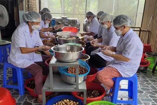 Đậm đà hương rượu lòn bon xứ Tiên