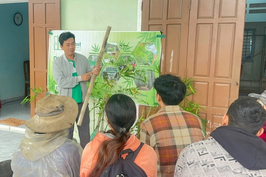 Liên kết sản xuất để tạo sinh kế bền vững ở vùng cao