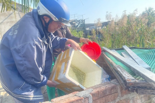 Ngăn chặn dịch sốt xuất huyết Dengue