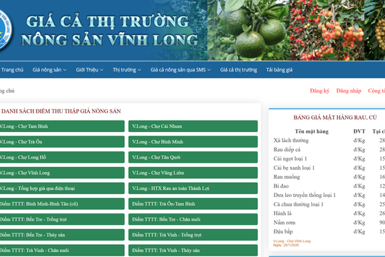 Giá rau xanh giảm mạnh trước Tết Bính Ngọ 2026 nhờ nguồn cung dồi dào