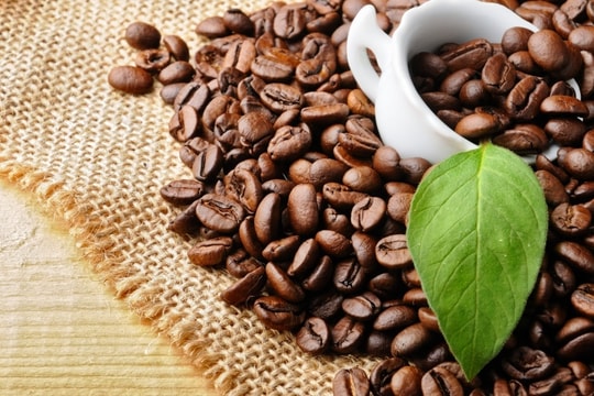 Giá cà phê ngày 29/1: Trong nước tăng nhẹ, thế giới lao dốc hơn 100 USD/tấn