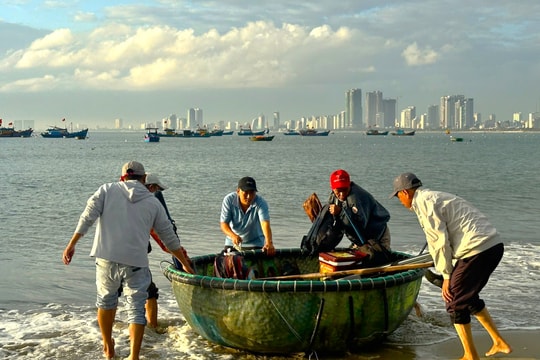 Săn “lộc biển” ven bờ