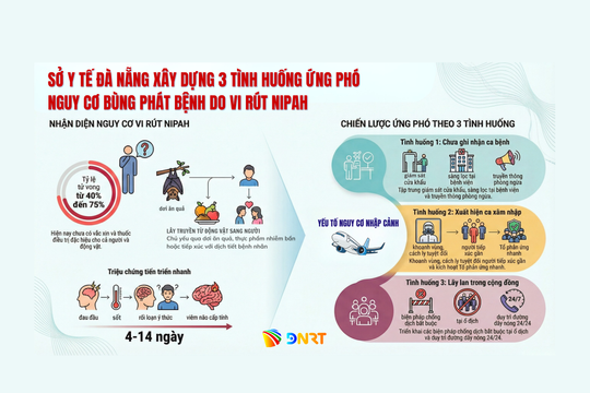 Đà Nẵng tăng cường giám sát, sẵn sàng ứng phó nguy cơ bệnh do vi rút Nipah