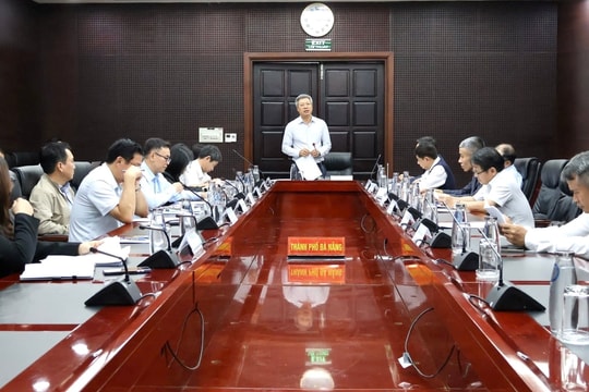 Đà Nẵng mong muốn chuyên gia đồng hành hỗ trợ phát triển sâm và dược liệu