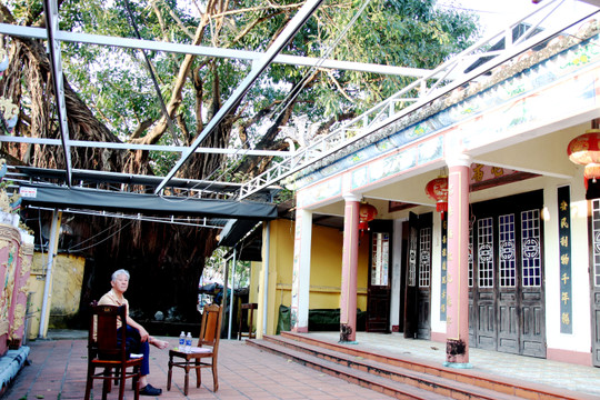 Dưới bóng trăm năm