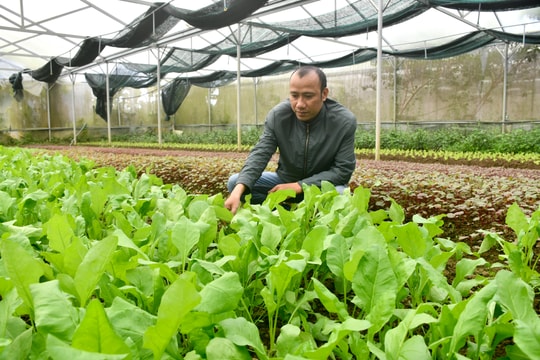 Công nghệ cao dẫn dắt nông nghiệp xanh