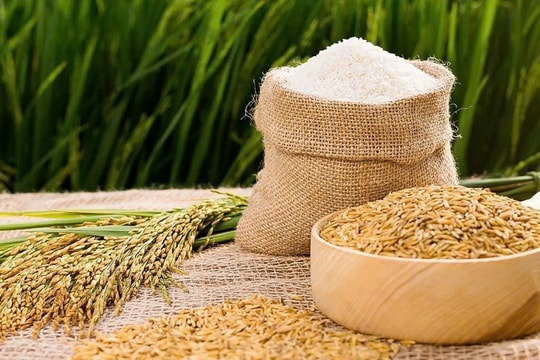 Giá lúa gạo hôm nay 2/2: Thị trường ổn định, gạo OM 18 giữ mức 9.000 đồng/kg