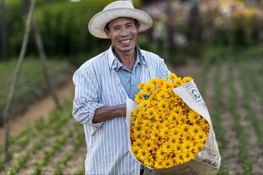Hương tháng Chạp