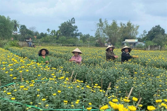 Làng Hà Đông tổ chức chợ hoa xuân