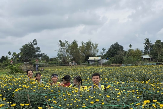 Kỳ vọng du lịch làng hoa cúc Hà Đông