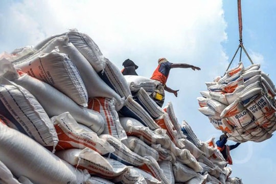 Giá gạo hôm nay 5/2: Gạo xuất khẩu tăng nhẹ, giá lúa biến động từ 100-200 đồng/kg