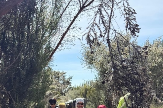 Lee Si Young chinh phục đỉnh Kilimanjaro: Hành trình 16 tiếng mỗi ngày tại nóc nhà châu Phi