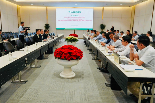 Tập đoàn Trường Hải đề xuất đầu tư vùng trồng sâm Ngọc Linh và dược liệu 3.500ha