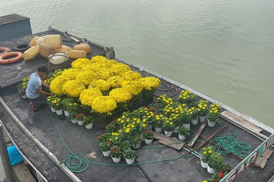 Đưa hàng Tết ra đảo Cù Lao Chàm