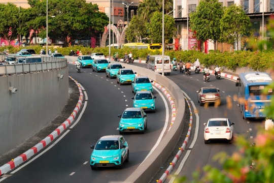 Xe điện chính thức vượt xe xăng về doanh thu tại thị trường taxi Việt Nam