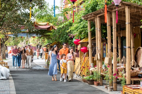 Về Đà Nẵng, thưởng ngoạn mùa Tết